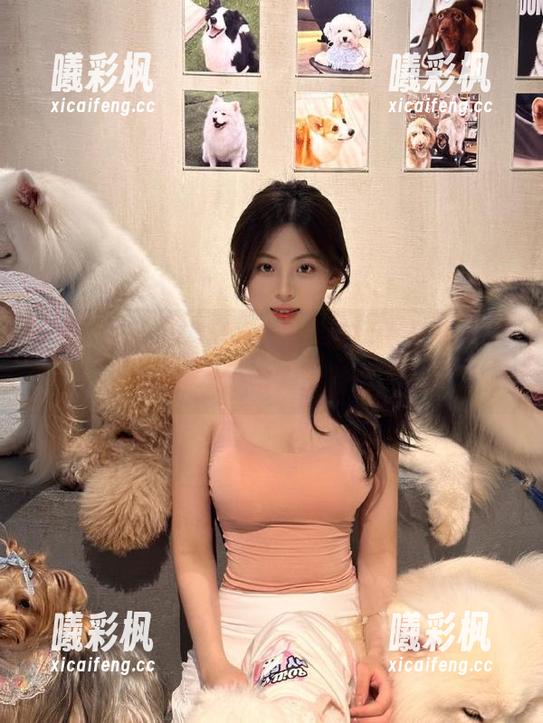 455fun吃瓜神器免费开放，粉丝们的快乐源泉