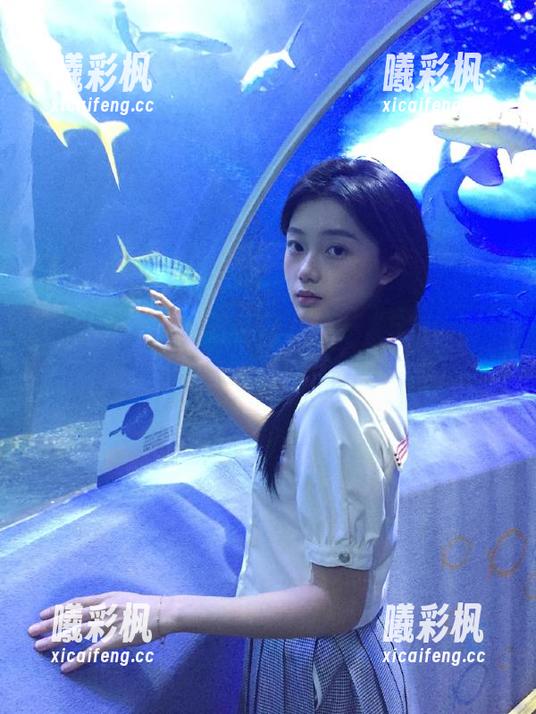 不想错过任何八卦？“51cg网”直达你的心，永久围观吃瓜乐趣！