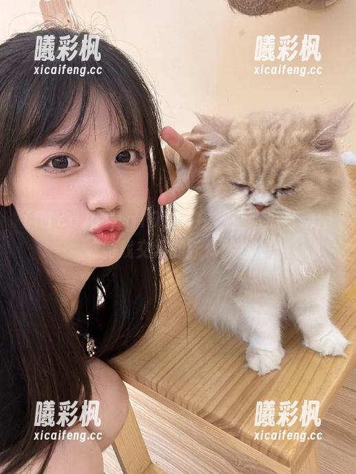 51cg10官网探秘：吃瓜与动漫游戏交汇的新体验！