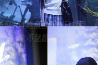 51吃瓜官网入口指南，确保你永不迷路随时吃瓜