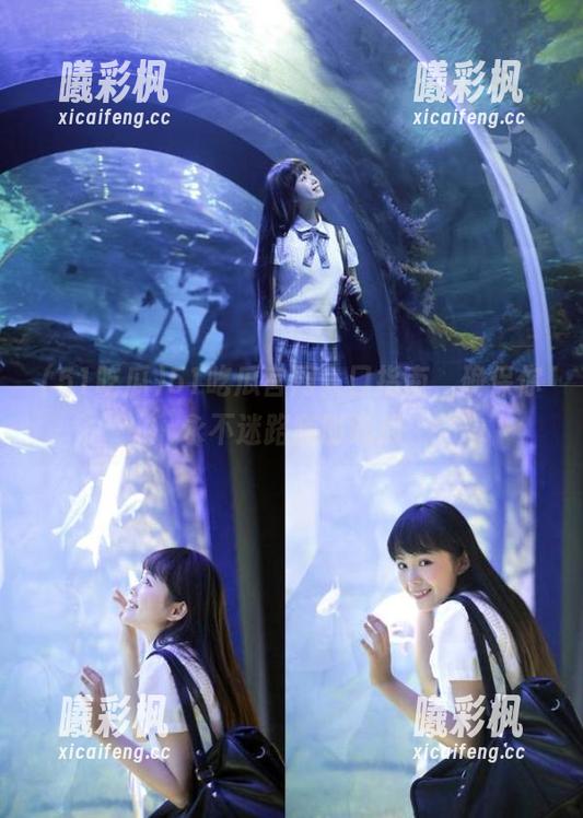 51吃瓜 51吃瓜官网入口指南,确保你永不迷路随时吃瓜
