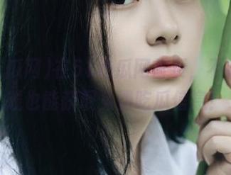 在51吃瓜网首页，不花一分钱也能获取免费吃瓜信息！