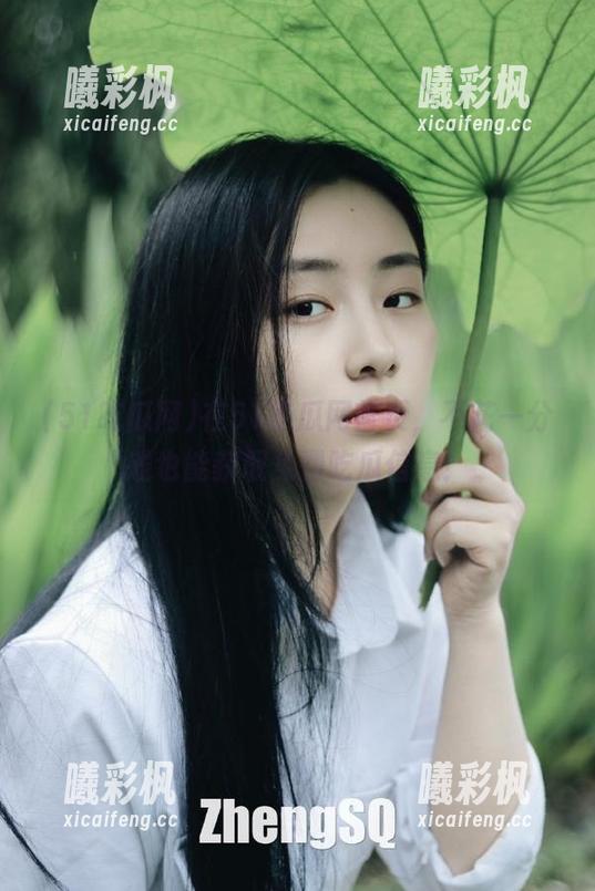 在51吃瓜网首页，不花一分钱也能获取免费吃瓜信息！
