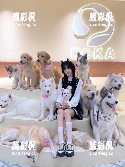 揭开51黑料吃瓜网的神秘面纱，尽情探讨动漫游戏黑料的网页新体验！