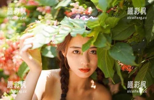 58吃瓜旗下美食线路推荐，吃瓜达人必备指南