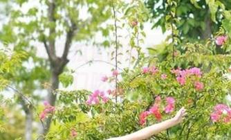 58吃瓜官网带你深入解析各种热门吃瓜事件