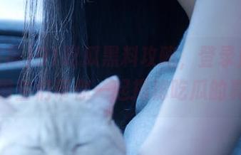 91吃瓜黑料攻略，登录蘑菇社区，男生们带你一起揭秘吃瓜的真相。