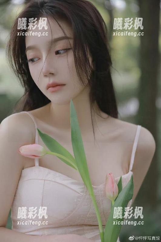 如何通过官网获取www.黑料不打烊.top最热线路的八卦秘籍，你学会了吗？
