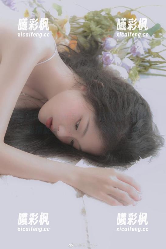 www.51吃瓜网导航：让你轻松捕捉每日明星八卦与热门话题
