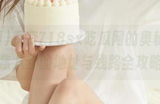 探索718sx吃瓜网的奥秘，了解聚焦八卦的地址与线路全攻略！
