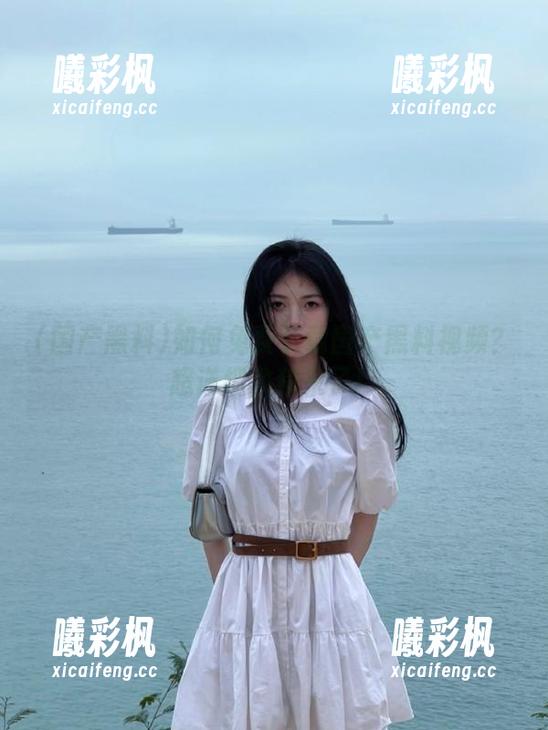 如何免费下载国产黑料视频？超详细教程来了！