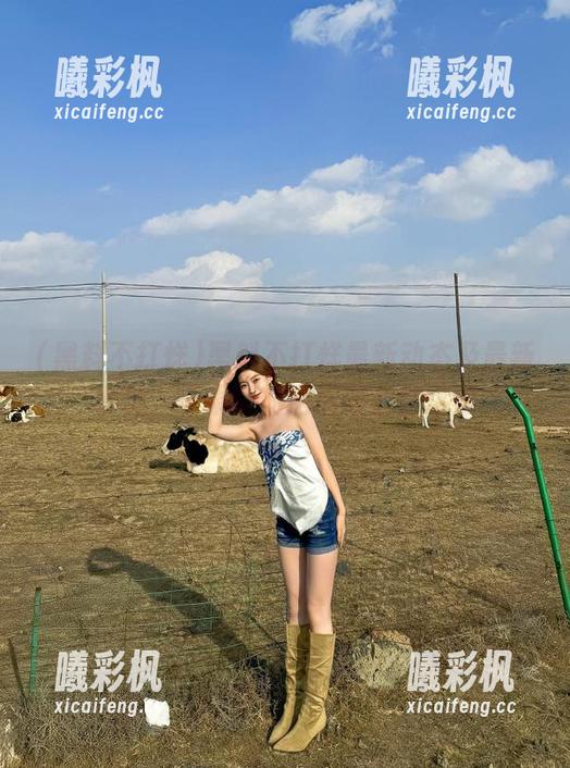 黑料不打烊最新动态及最新地址，苹果版使用指南全在这里