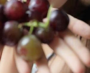加入黑料专区，网页和iOS版让你轻松追踪最新吃瓜动态！
