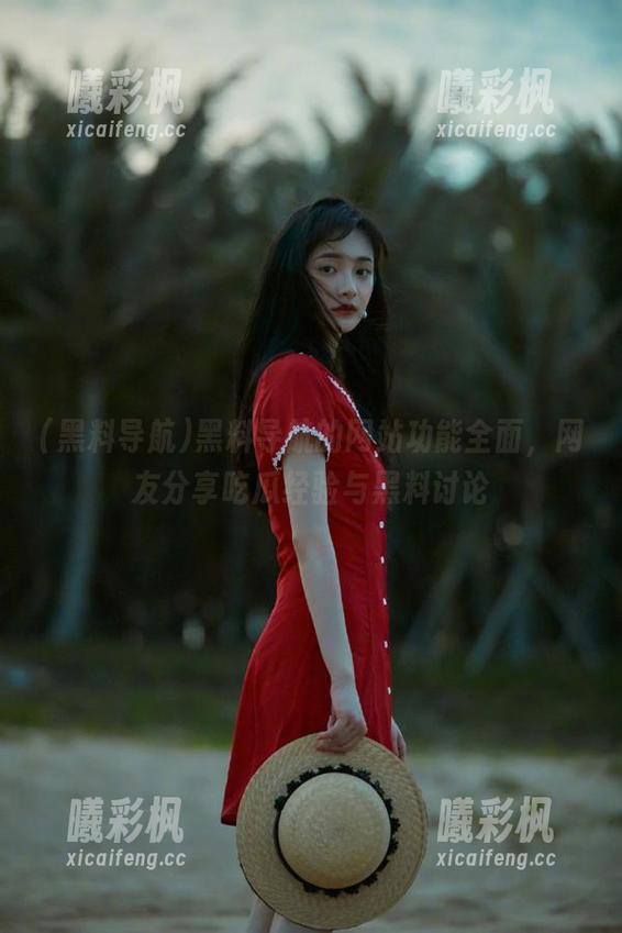 黑料导航的网站功能全面，网友分享吃瓜经验与黑料讨论