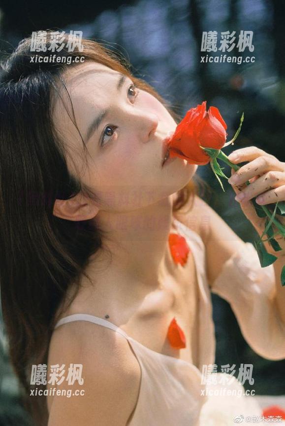 找到黑料社下载的入口，轻松获取抓人眼球的娱乐信息