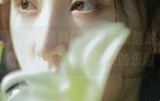 探索黑料网选择在线播放，观看最新的娱乐新闻带来的乐趣
